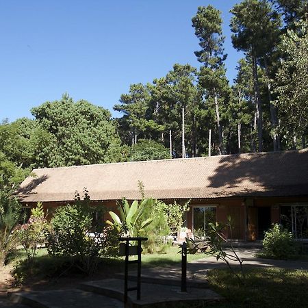 Hotel Lodge Au Bois Vert Antananarivo International Airport Ivato Extérieur photo